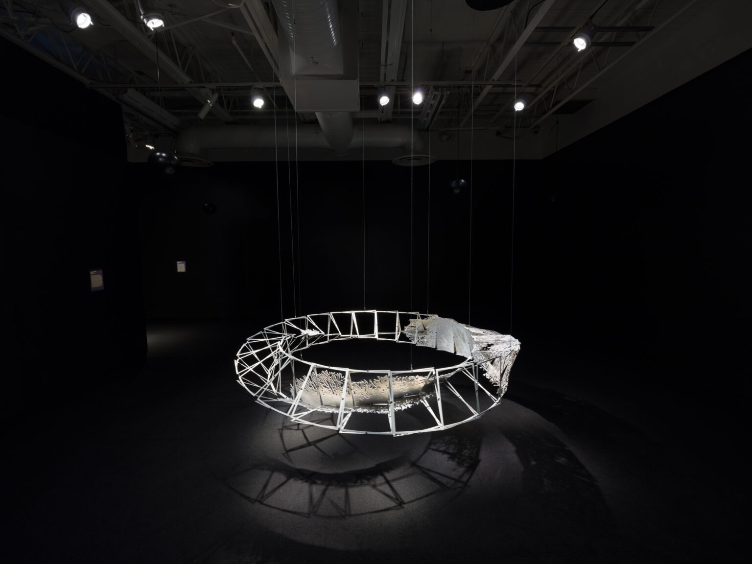 Charles Campbell Toronto Biennial 2024 WAAP